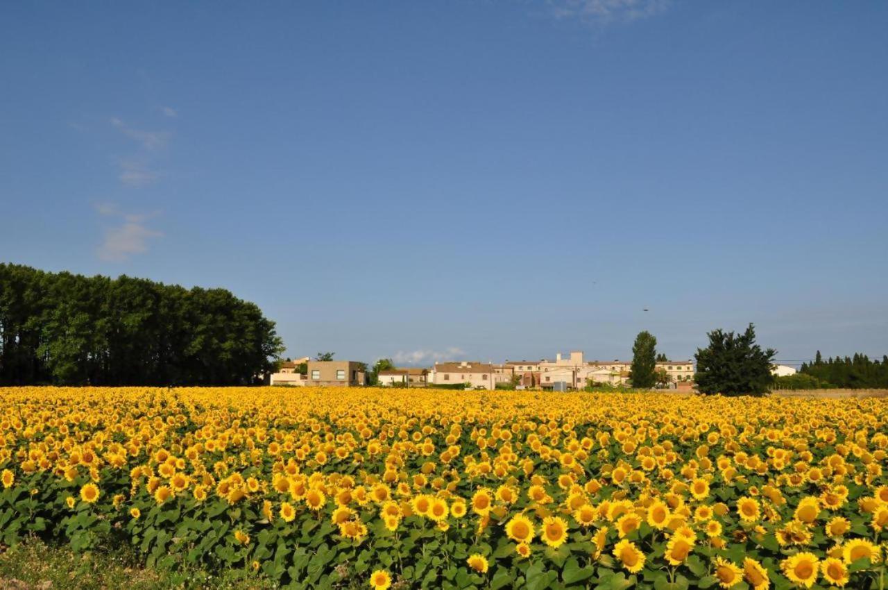 Bed and Breakfast Lhort De Sant Cebria Torroella de Fluvia Экстерьер фото
